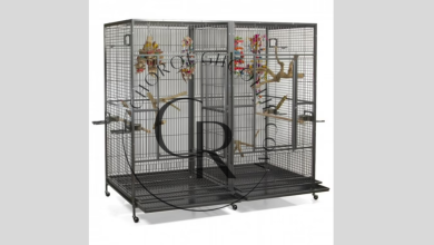 CageCo Inc. Custom Pet Cages: High Quality Solutions for Your Pet Comfort and Safety