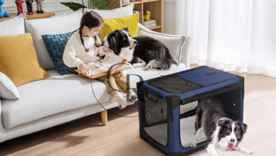 Travel in Comfort with the EliteField Soft Sided Pet Carrier