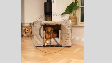 Why Choose a Lords & Labradors Luxury Pet Crate for Your Furry Companion?