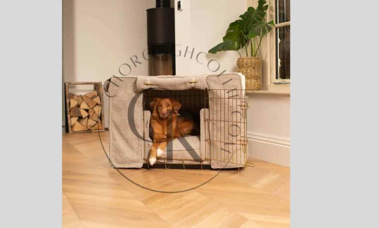 Why Choose a Lords & Labradors Luxury Pet Crate for Your Furry Companion?