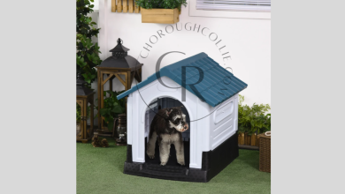 Why Choose Mason Company Dog Kennel for Your Pet Boarding Needs