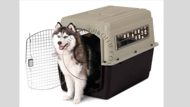 Why the Petmate Ultra Vari Dog Kennel is the Perfect Choice for Your Dog’s Comfort and Safety