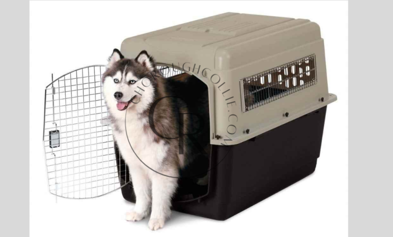 Why the Petmate Ultra Vari Dog Kennel is the Perfect Choice for Your Dog’s Comfort and Safety