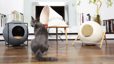 Elevate Your Home with Tuft and Paw Luxury Cat Furniture