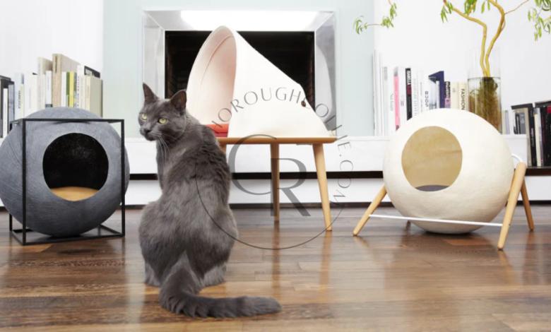 Elevate Your Home with Tuft and Paw Luxury Cat Furniture